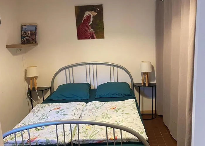 Appartement De Plain-Pied Avec Jardin
