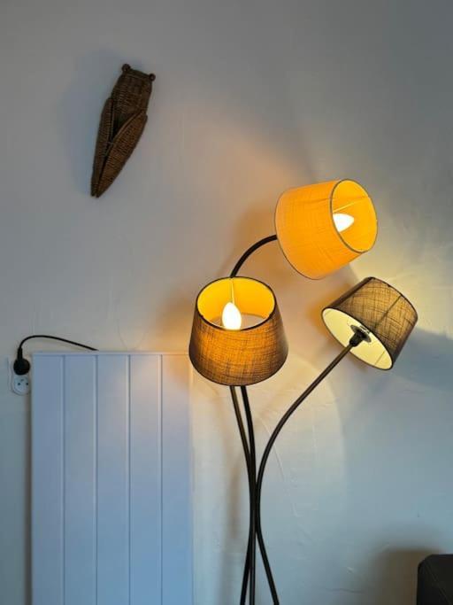 Appartement De Plain-pied Avec Jardin