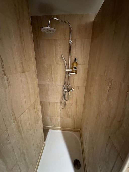 Appartement De Plain-pied Avec Jardin